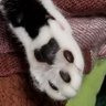 fuka's profile picture