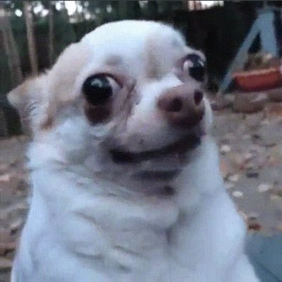 milly's profile picture