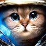 Profilbild von Nevermind