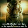 Sanjay daryani's profile picture