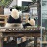 けい 的头像