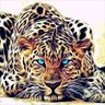 викингблю💙 profil fotoğrafı