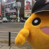 猫アレ@今年から散歩部推し profil fotoğrafı