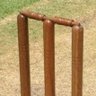 CricketSize 的头像