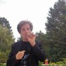michael marcovici's profile picture