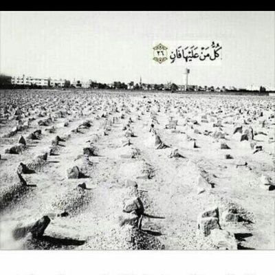 جنائز محافظة #الزلفي ( كفى بالموت واعظا )'s profile picture