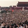 温水煮丫蛋 profil fotoğrafı