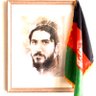 Farid Aryan Farid 的头像