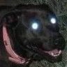 Profilbild von SlimeyCretin