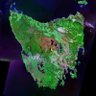 Tas Prospecting's profile picture