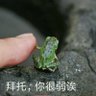 顺德曝光's profile picture