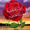 ستار الساعدي's profile picture