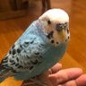 たかぶん 的头像