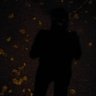 Moein's profile picture