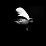 Profilbild von MaxPayne👨🏽‍💻