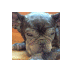 勇気凛's profile picture