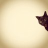 HHernan's profile picture