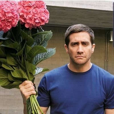 OswaldoAndresX's profile picture