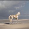Фото профиля اللولو