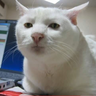 Sam profil fotoğrafı