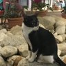 sana değer profil fotoğrafı