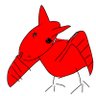 カレノハ's profile picture