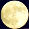 ミラクルムーン🌏🌕🪙 的头像