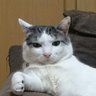 Profilbild von なの