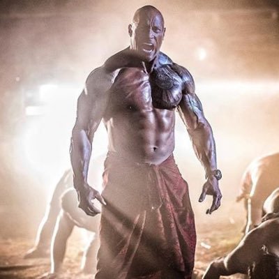 polyfights's profile picture