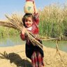 ساطع العراقي profil fotoğrafı