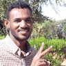 عامر أحمد الدويخ 的头像