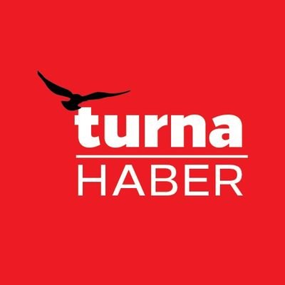 TURNA HABER's profile picture