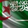 آمنه بن عبد الله(أم أنس قوام الدين)'s profile picture