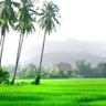 Zulharry 🇲🇾 的头像