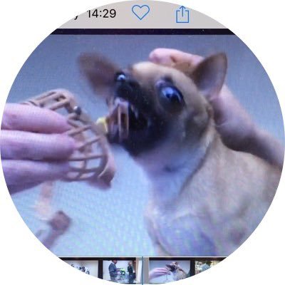 Tinks's profile picture