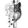 fidolu's profile picture