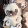 ぼんざらす's profile picture
