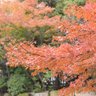 カメラの亀山's profile picture