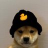 Profilbild von Bandito