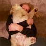 Profilbild von Necie ❤️’s Teddy Bear Tzu