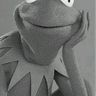 Фото профиля Paul 🐸🇾🇪🤘