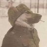 Silvestre's profile picture