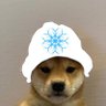 Фото профиля Snow