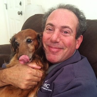 Adam Stuart's profile picture