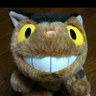 furutomo's profile picture
