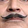 PoirotsMoustache 的头像