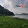 s.y's profile picture