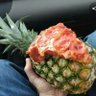 Profilbild von Ananas Pizza