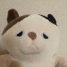 にゃんこー profil fotoğrafı