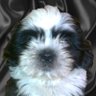 pablo venancio cabrero moratalla's profile picture